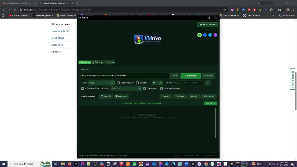 VidRivo main interface