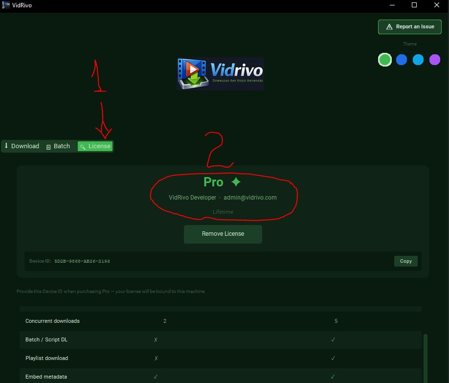 License tab showing Pro status with name, email and Lifetime label